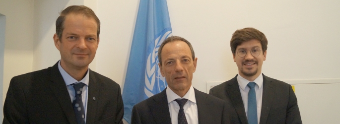 Michael F. PFEIFER, Lino GUZZELLA und Bernd HERMANN